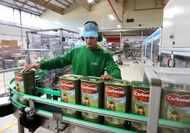 En el corazón de la gran fábrica de Deoleo en Córdoba: un negocio milenario con la última tecnología