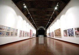 La exposición de Roberto Campos en el Museo de Santa Cruz, en imágenes