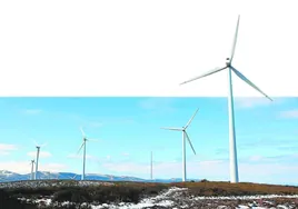 Gira Wind: potencia económica más allá del viento