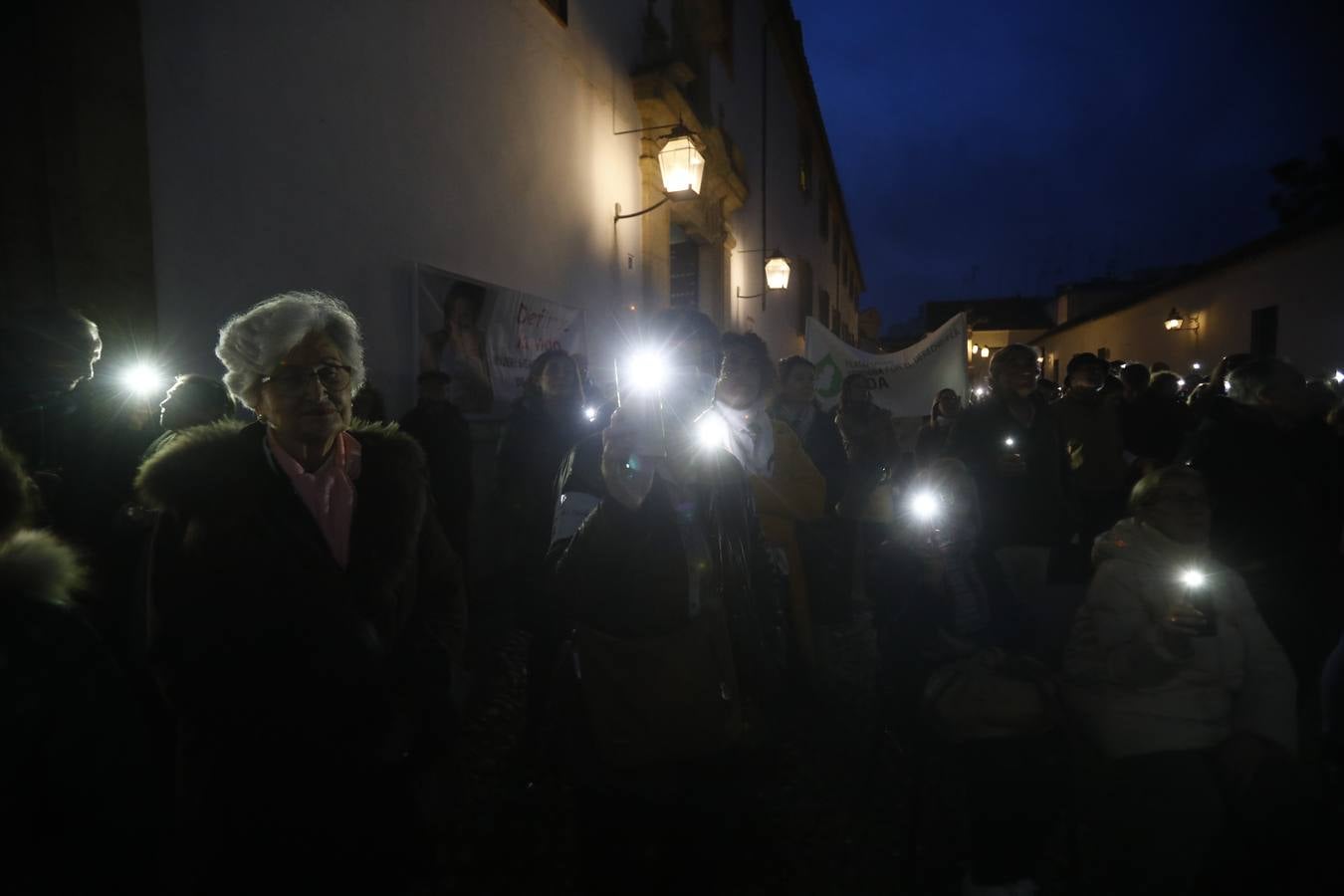 Fotos: luz en defensa de los más inocentes en Córdoba