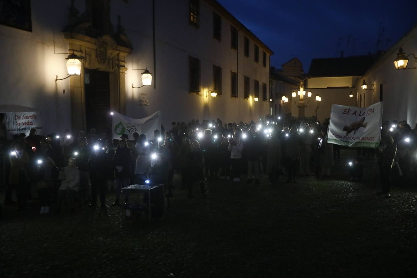 Fotos: luz en defensa de los más inocentes en Córdoba