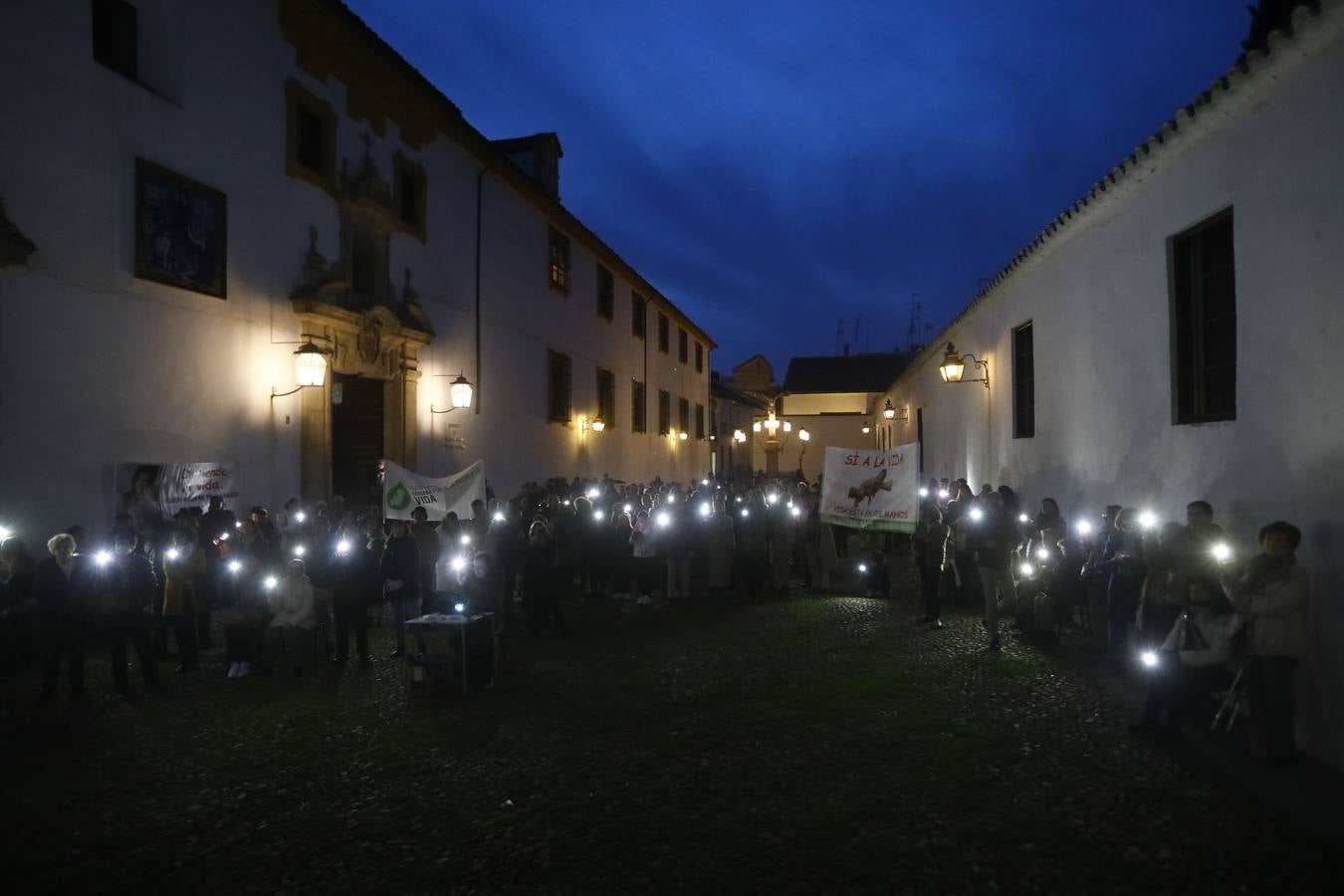 Fotos: luz en defensa de los más inocentes en Córdoba