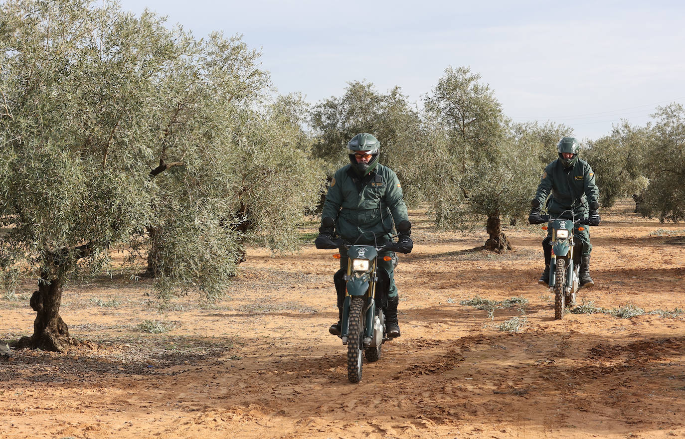 Fotos: un día en las entrañas del Equipo Roca de la Guardia Civil