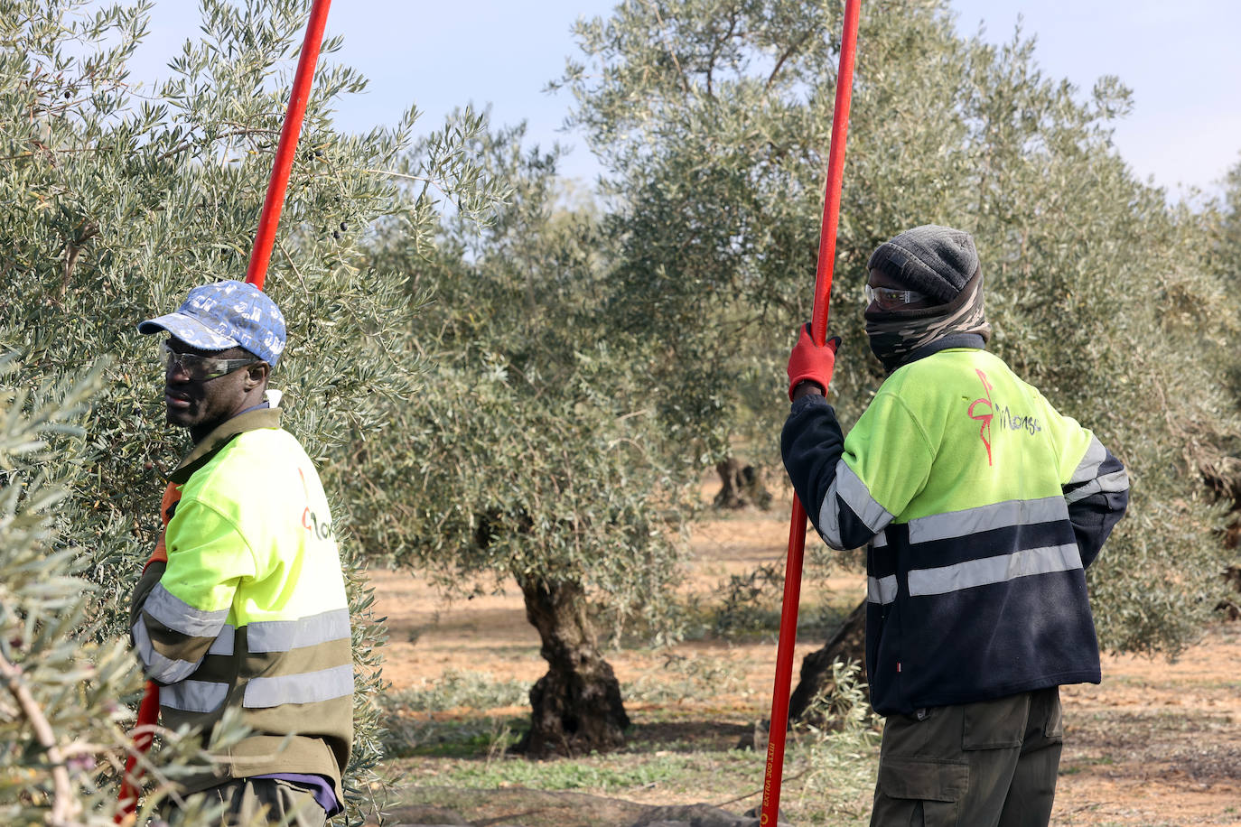 Fotos: un día en las entrañas del Equipo Roca de la Guardia Civil