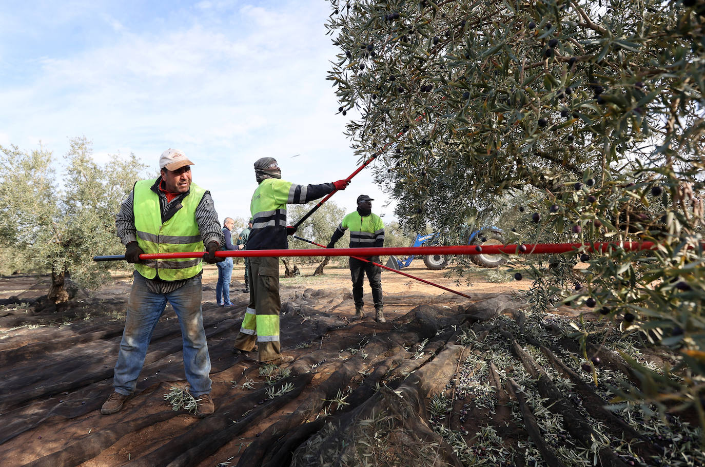 Fotos: un día en las entrañas del Equipo Roca de la Guardia Civil