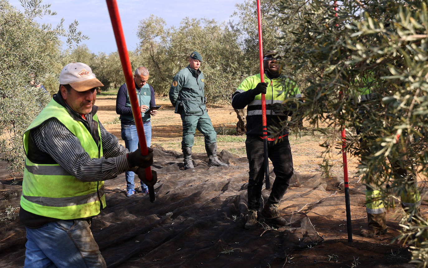 Fotos: un día en las entrañas del Equipo Roca de la Guardia Civil