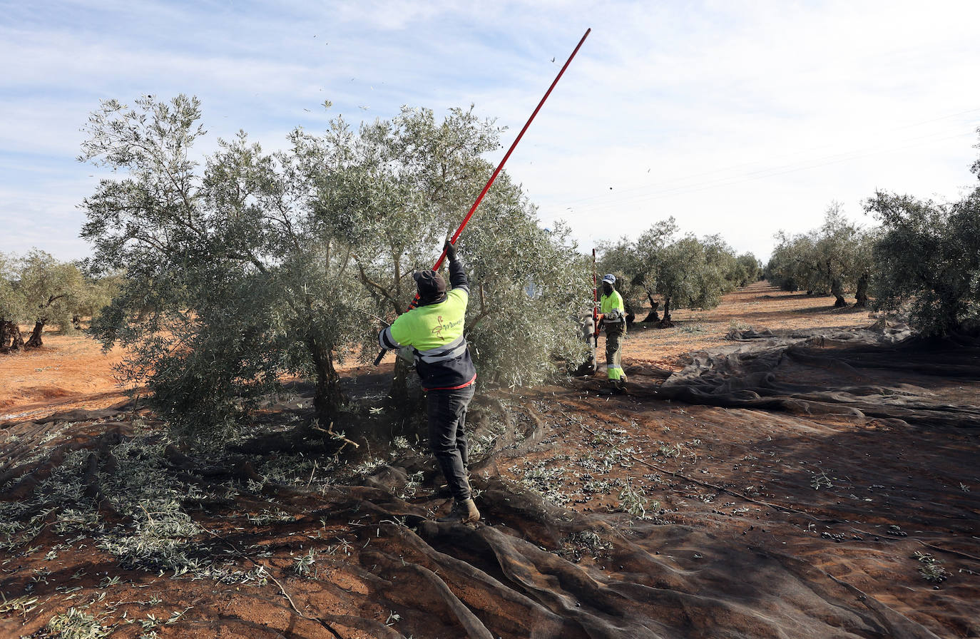 Fotos: un día en las entrañas del Equipo Roca de la Guardia Civil