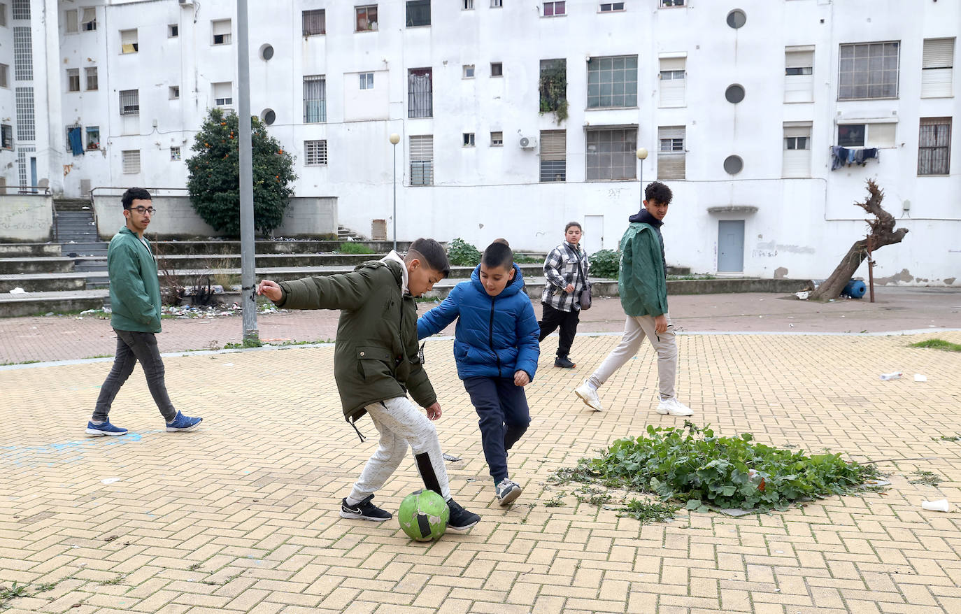 Fotos: el trabajo solidario del proyecto La Puerta Verde en el Guadalquivir