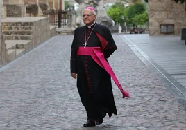 Demetrio Fernández: el obispo batallador