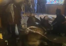 Dos caballos acaban en el suelo en la cabalgata de Oviedo a causa de la lluvia