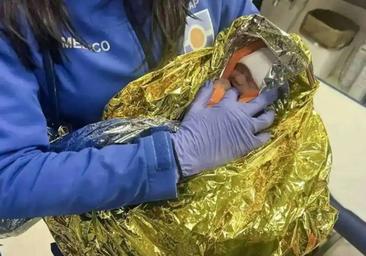 Detenida la madre que abandonó a su bebé en un contenedor de basura en Los Palacios