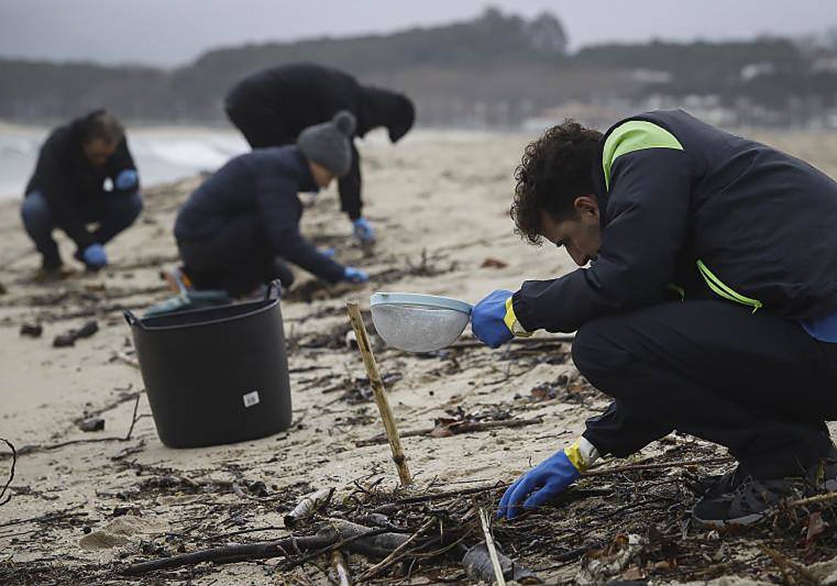 Recogida de pélets en la playa viguesa de Samil, hace unos días