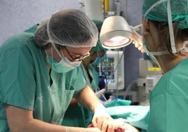 Castilla-La Mancha alcanza en 2023 el récord de donaciones de órganos y tejidos