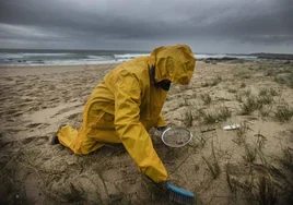 Contra viento y marea: el paso de un temporal por la costa gallega no detiene al voluntariado