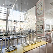 La ONG del catalán rechaza como «genocidio lingüístico y cultural» los cambios legales del Gobierno de Mazón