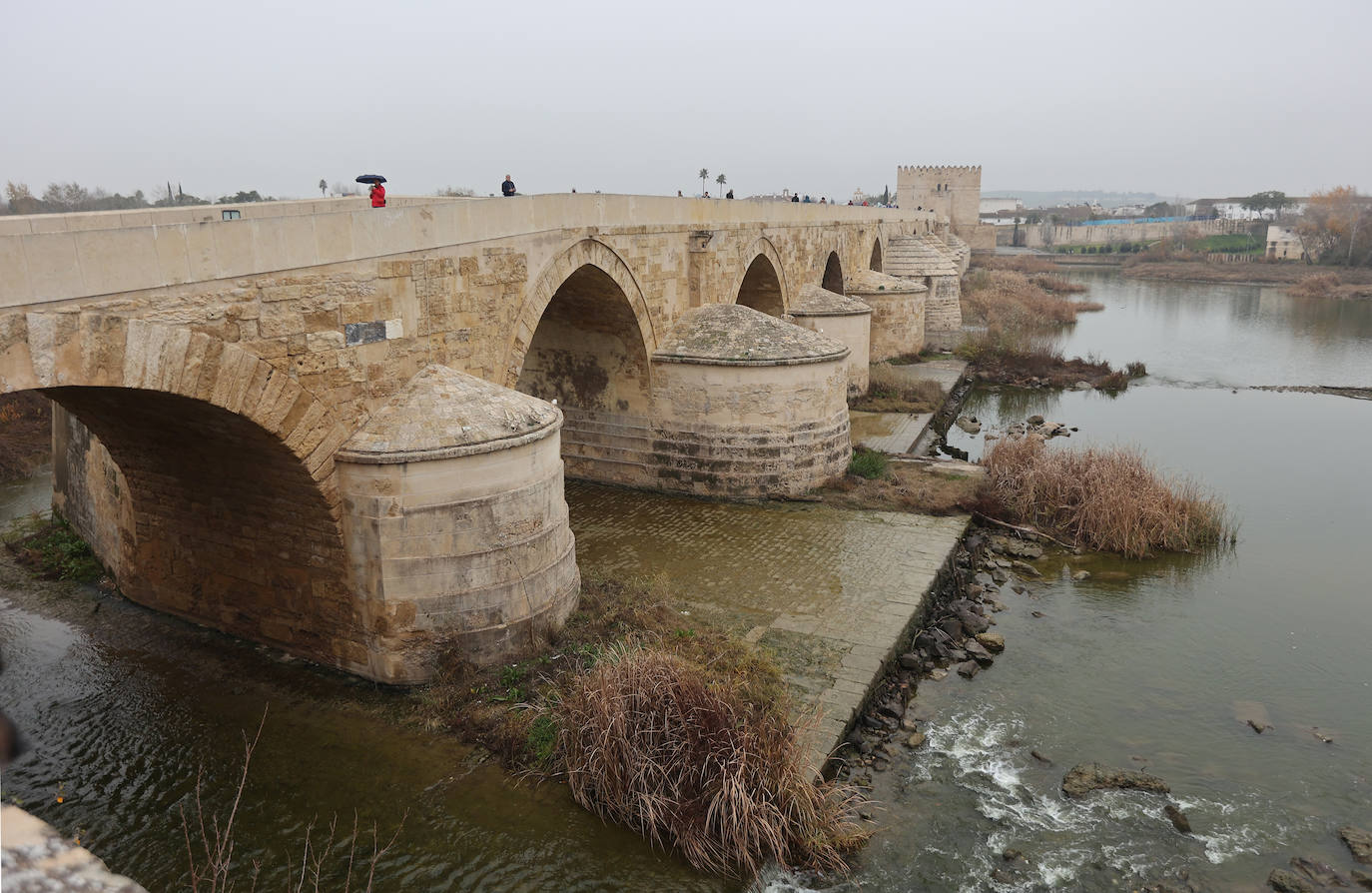 Fotos: la sequía deja bajo mínimos el cauce del río Guadalquivir en Córdoba