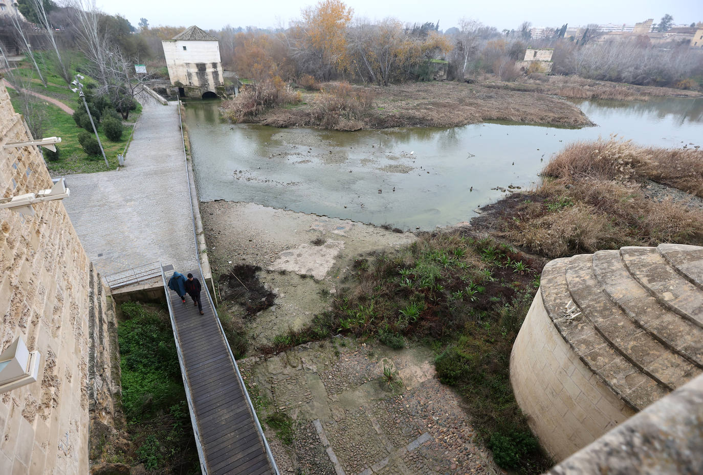 Fotos: la sequía deja bajo mínimos el cauce del río Guadalquivir en Córdoba