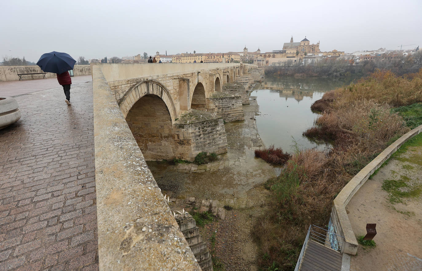 Fotos: la sequía deja bajo mínimos el cauce del río Guadalquivir en Córdoba
