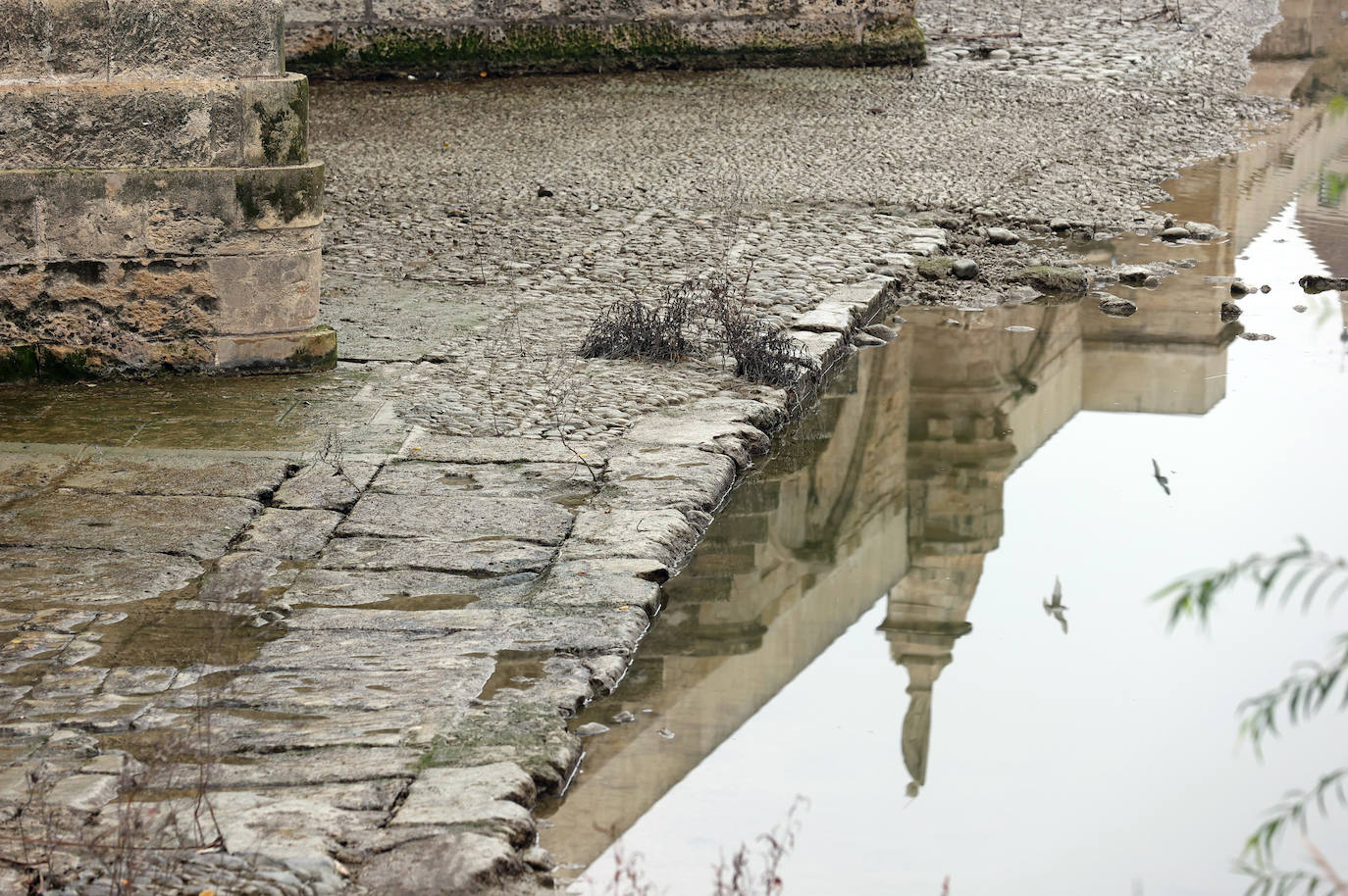 Fotos: la sequía deja bajo mínimos el cauce del río Guadalquivir en Córdoba