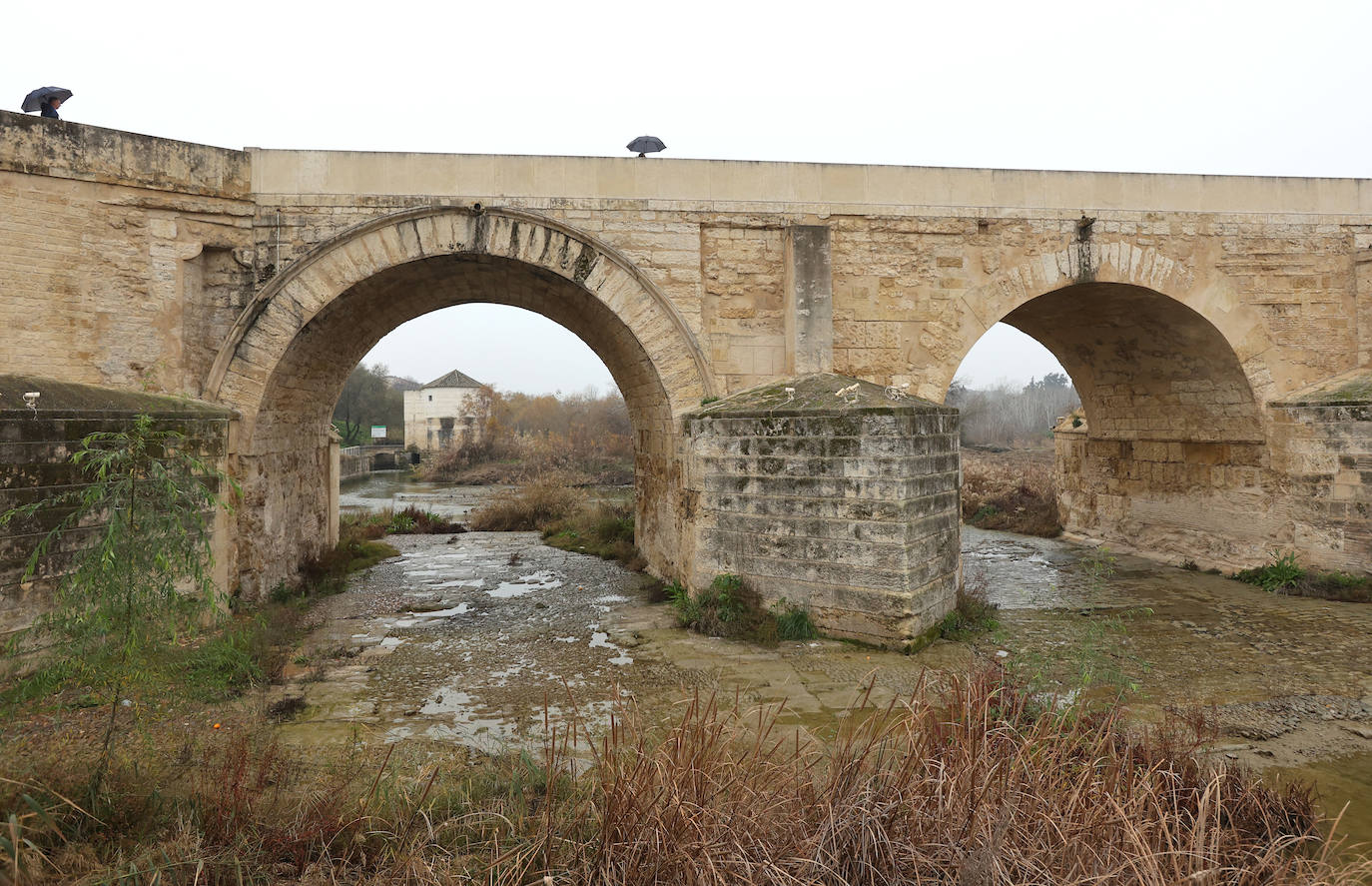 Fotos: la sequía deja bajo mínimos el cauce del río Guadalquivir en Córdoba