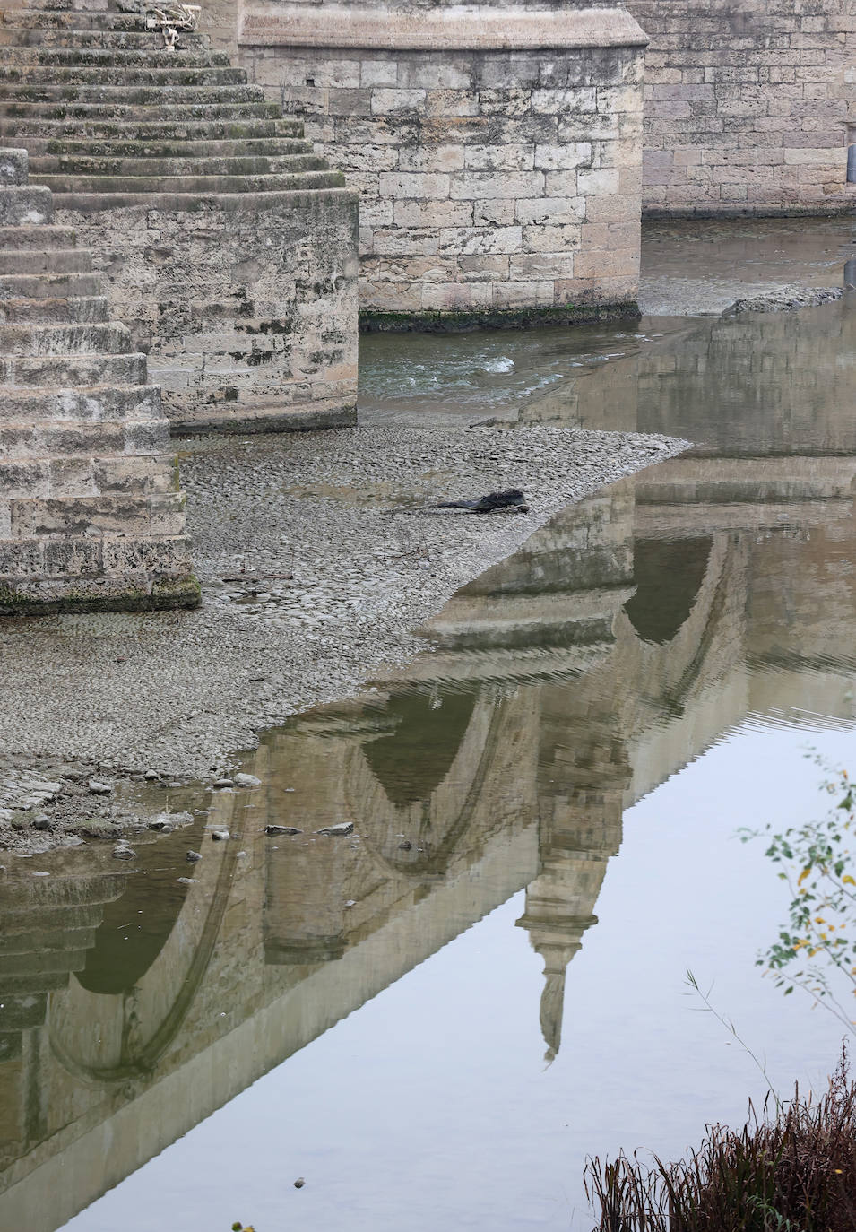 Fotos: la sequía deja bajo mínimos el cauce del río Guadalquivir en Córdoba