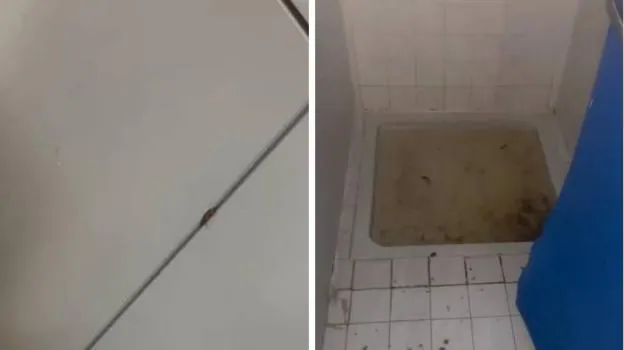A la derecha, una cucaracha en una de las salas. A la izquierda, uno de los baños