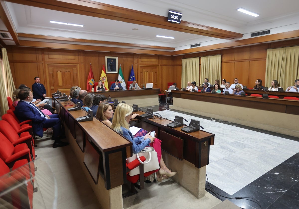 Pleno ordinario de Córdoba