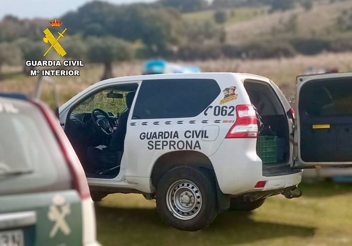Un coche de la Guardia Civil en la finca del investigado