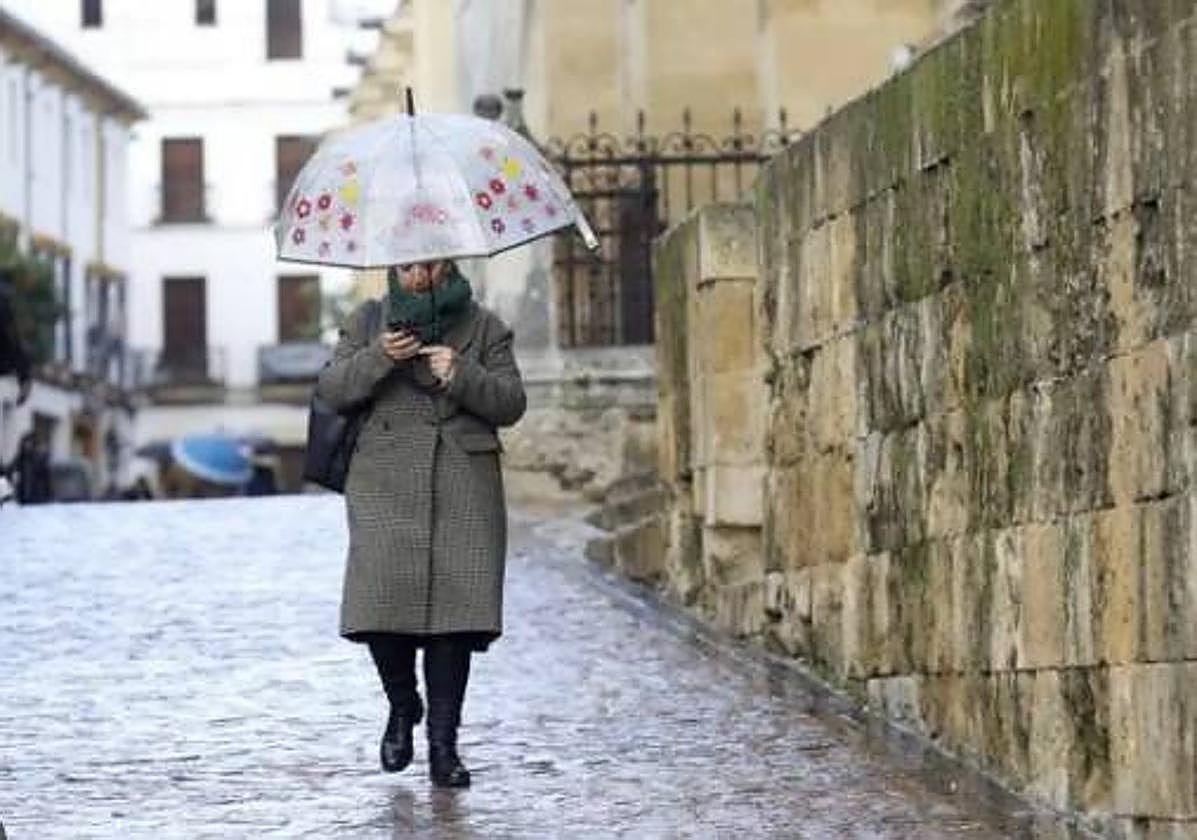 Una mujer camina con su paraguas bajo la lluvia en Córdoba