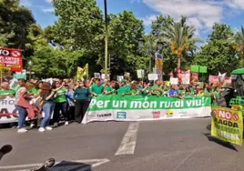 Rechazo del mundo rural valenciano a los grandes proyectos fotovoltaicos: «Van a destrozar los terrenos agrarios productivos»