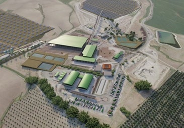 Sadeco pide 5,7 millones para su primer proyecto 5.0 en Córdoba, la planta de proteínas que alimenta moscas con basura