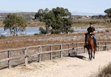 Nuevas rutas en el parque natural de Las Lagunas y la Liga de Videojuegos, entre las bazas de Torrevieja en Fitur