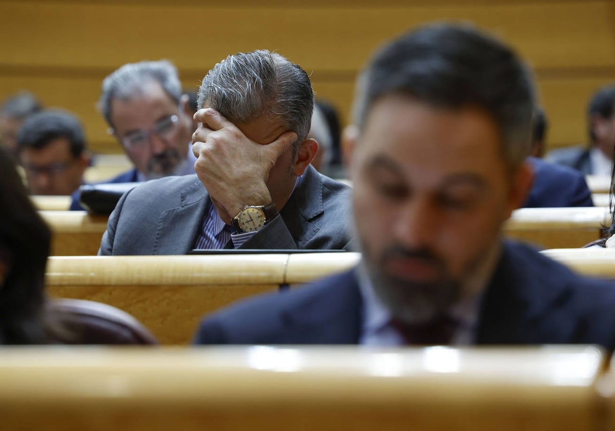 Santiago Abascal, Javier Ortega Smith y Carlos Flores, en un pleno del Congreso celebrado esta semana en el Senado