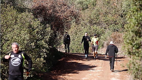 La Junta licita de una sola vez cuatro proyectos del Cinturón Verde que rodeará Córdoba por 3,5 millones de euros