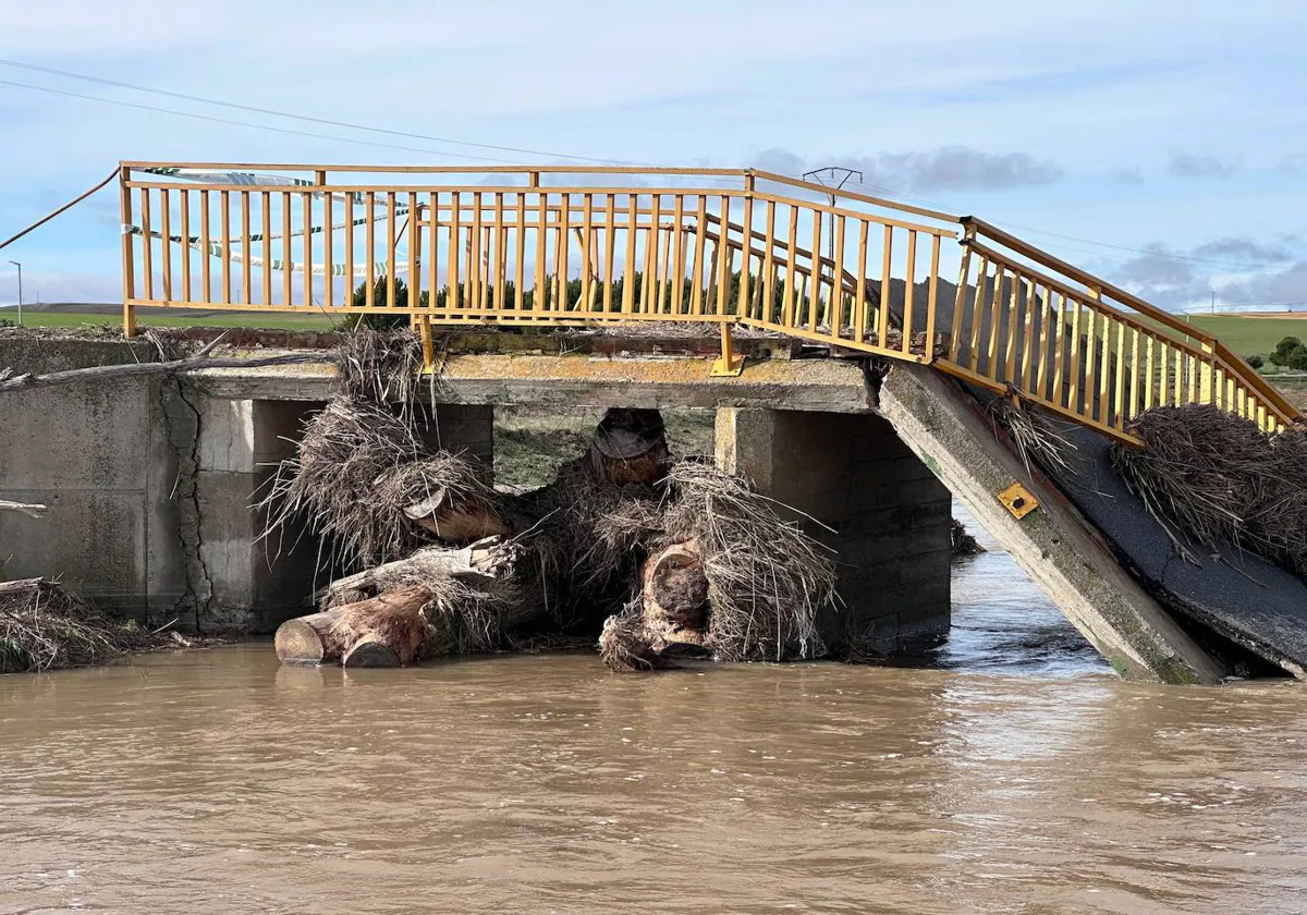 El puente sobre el río Zapardiel en Cisla (Ávila), derruido por la corriente y con restos vegetales acumulados