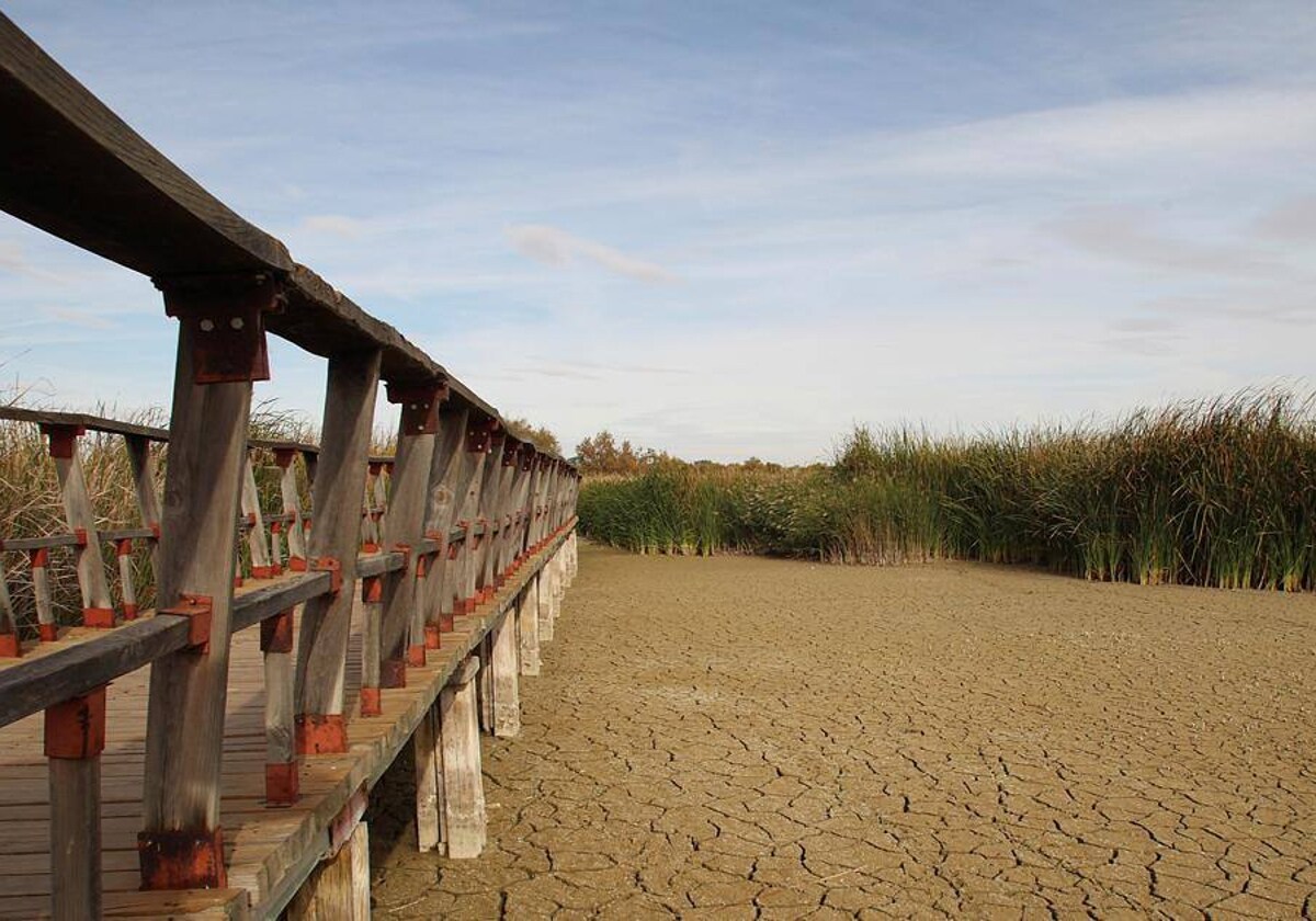 Imagen de archivo de las Tablas de Daimiel tras un periodo de sequía prolongado