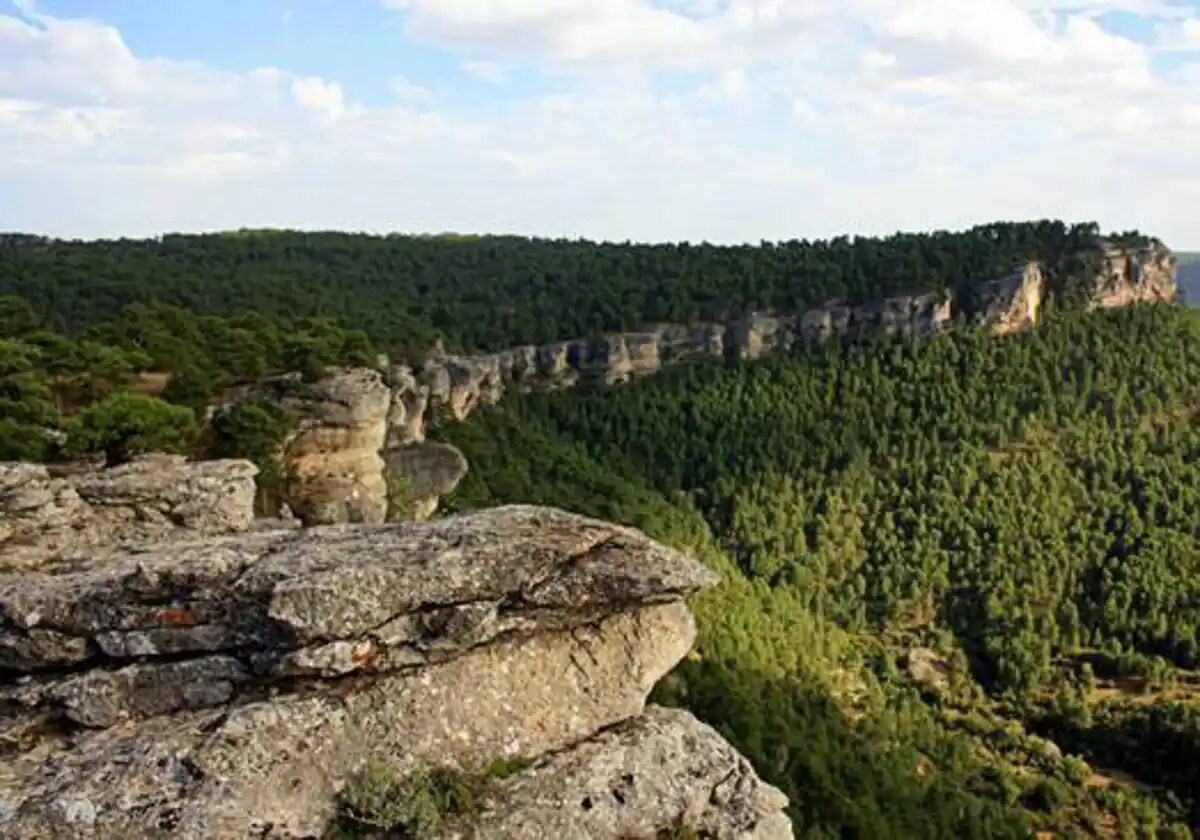 Toroverde estima que su parque de ecoturismo en Cuenca llegará al millón de visitantes en cinco años