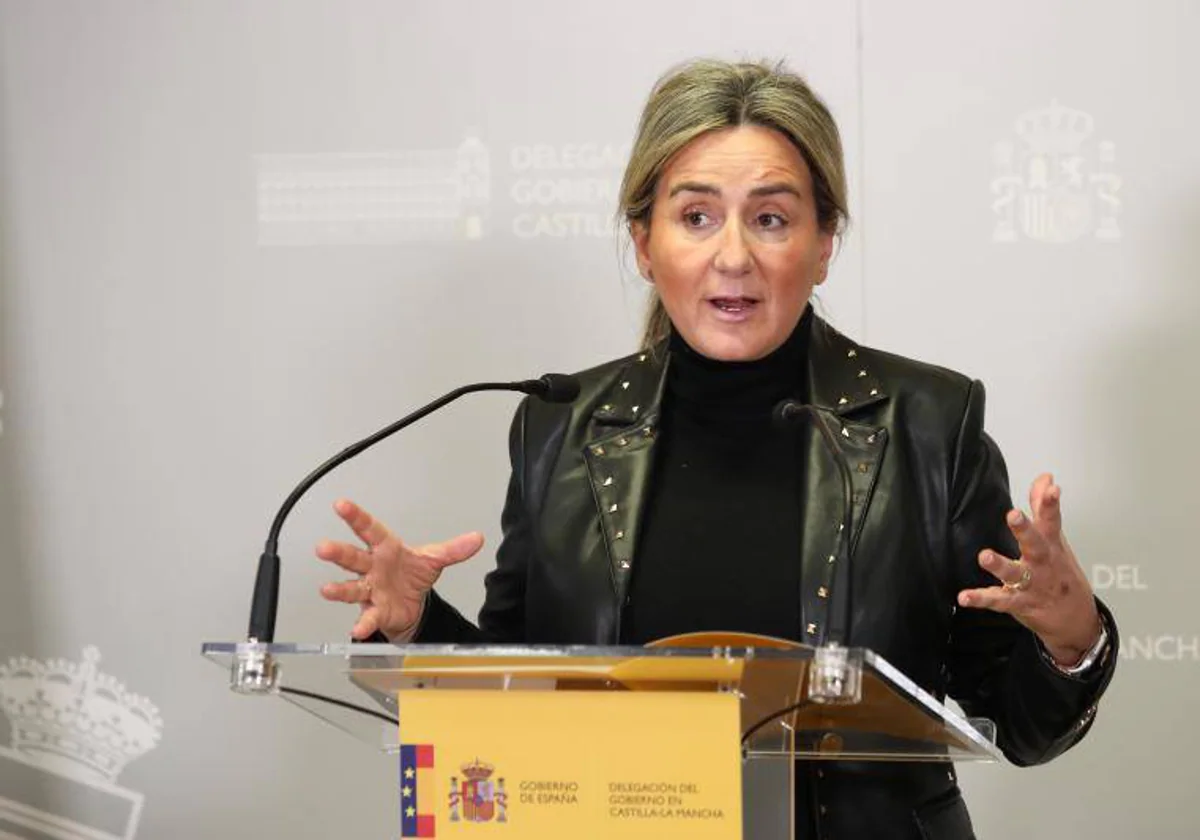 La delegada del Gobierno en Castilla-La Mancha, Milagros Tolón, en una imagen reciente