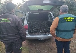 La Guardia Civil recupera dos toneladas de aceitunas y detiene a cuatro personas en Espejo