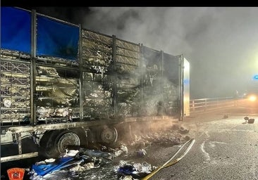 Decenas de gallinas mueren carbonizadas en el incendio de un camión en Seseña