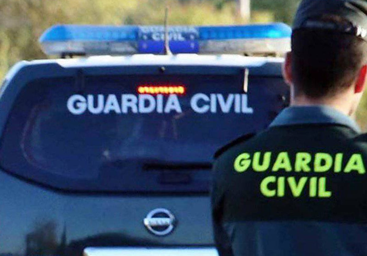 Investigan la muerte de un hombre en un monte de Soria, al que se halló atrapado por un árbol