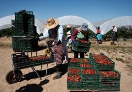 El sector de los frutos rojos de Huelva pide ayuda al Gobierno ante el boicot de agricultores franceses
