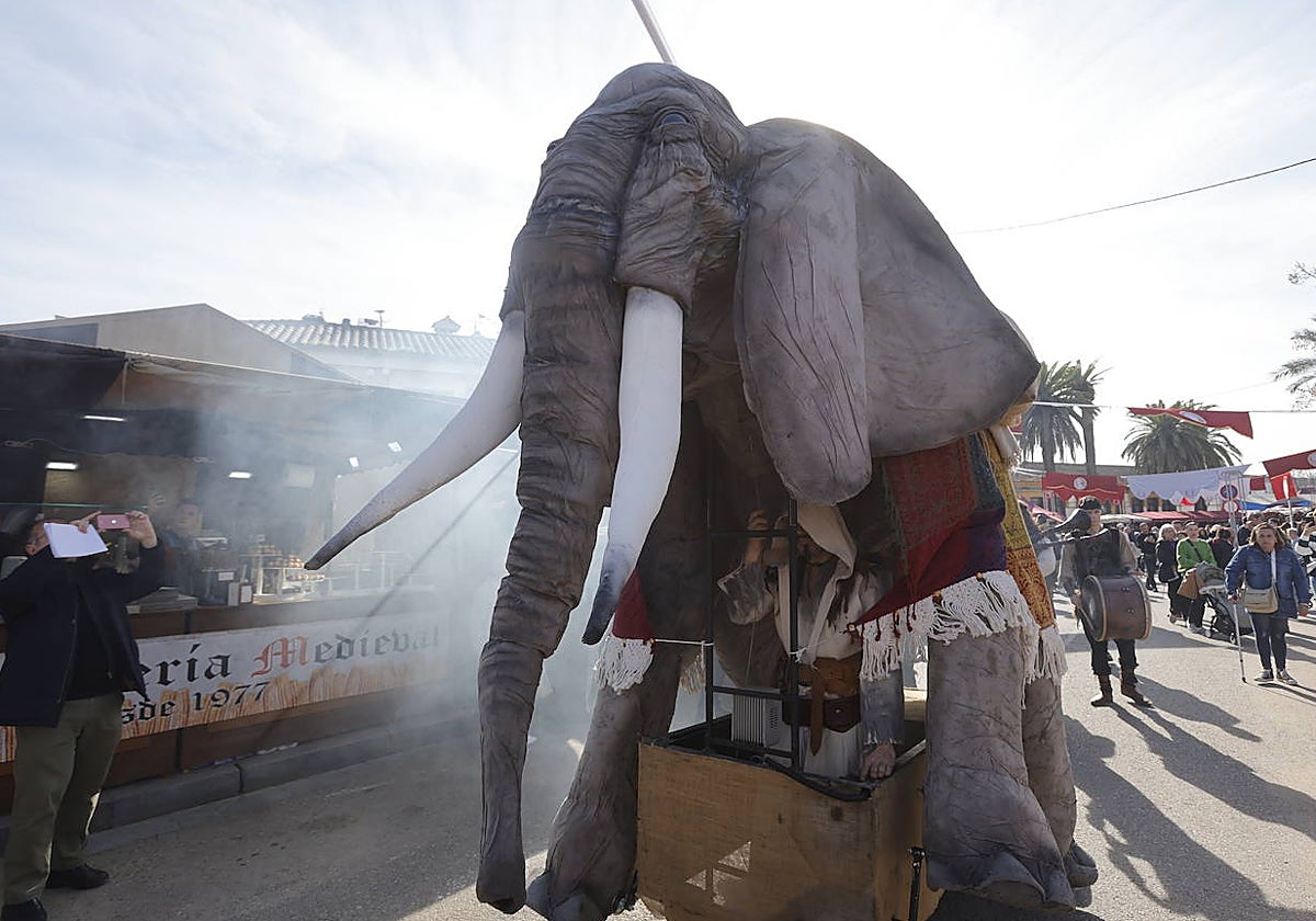 Un elefante movido por una persona en el Mercado Íbero-Romano