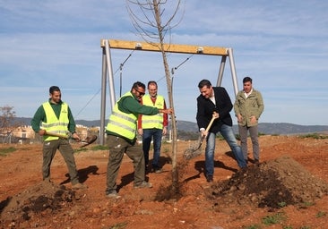 El Parque de Levante en Córdoba estará terminado en junio y sumará más de 1.800 árboles