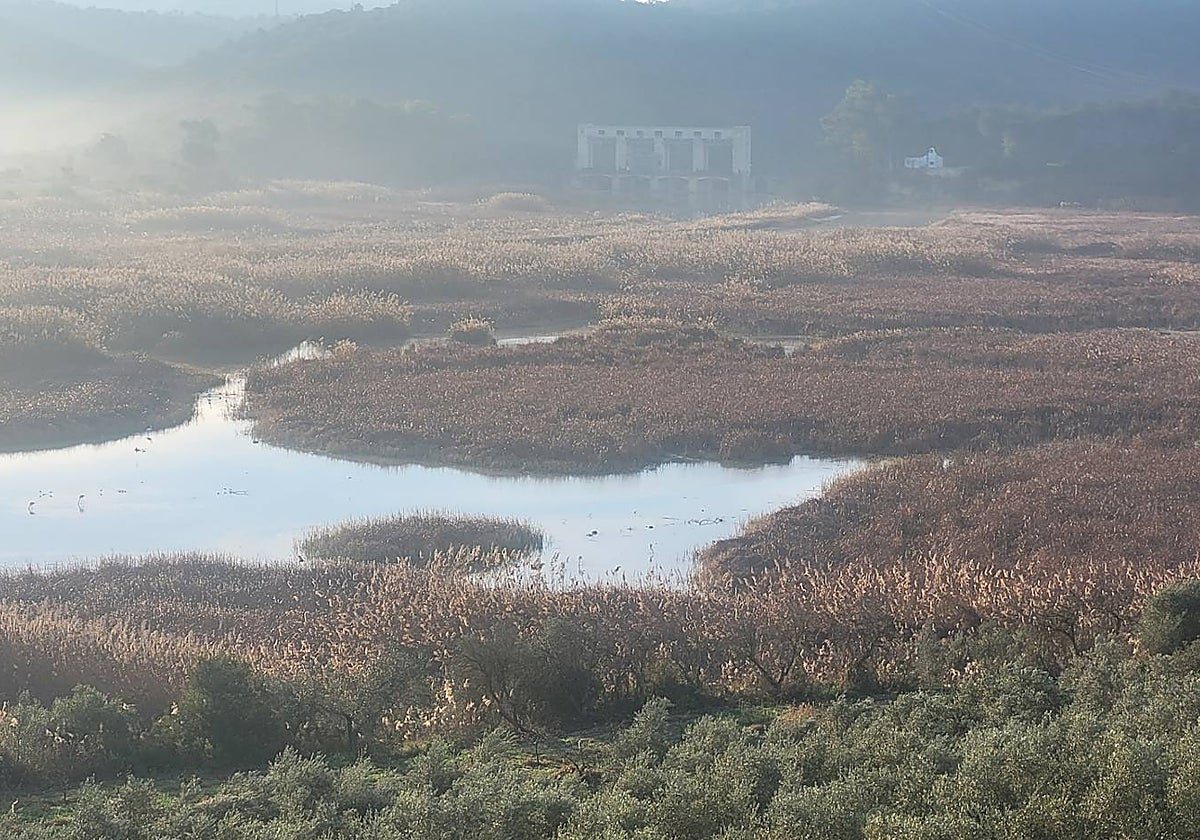 Vista del embalse de Cordilla