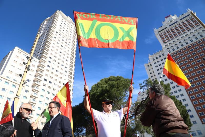 Aunque la protesta estaba promovida por el PP, en la plaza de España se ha visto la presencia de Vox