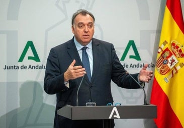 Andalucía aumenta la exigencias a los pisos turísticos y permite a los ayuntamientos que impidan nuevas licencias