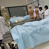 La Universitat de Valencia y la Católica se desvinculan de la compra de cadáveres: «Sólo aceptamos donaciones»