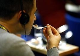 Córdoba, en Madrid Fusión: catas, ponencias, 'showcookings', talleres y más