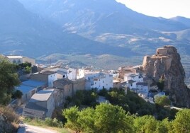 Rechazada judicialmente la implantación de una macrogranja porcina en Solera (Jaén)
